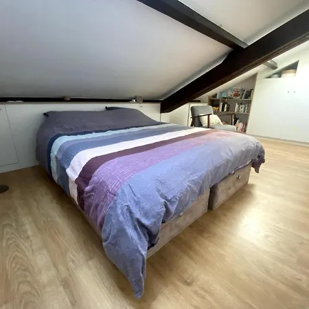 Beautiful Duplex * Issy-les-Moulineaux